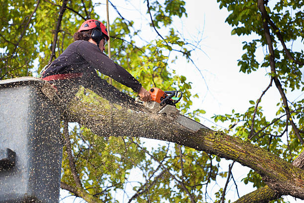 Soil Testing and Treatment in Watertown, WI